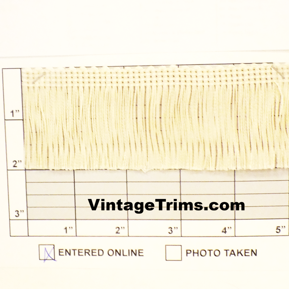 Chainette Fringe 2" - 2 Colors