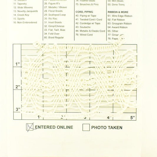 Elasticized Cluny Lace Braid 3" - 2 Colors
