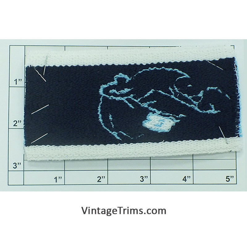 Heavy Elastic 2-5/8" - 4 Colorways