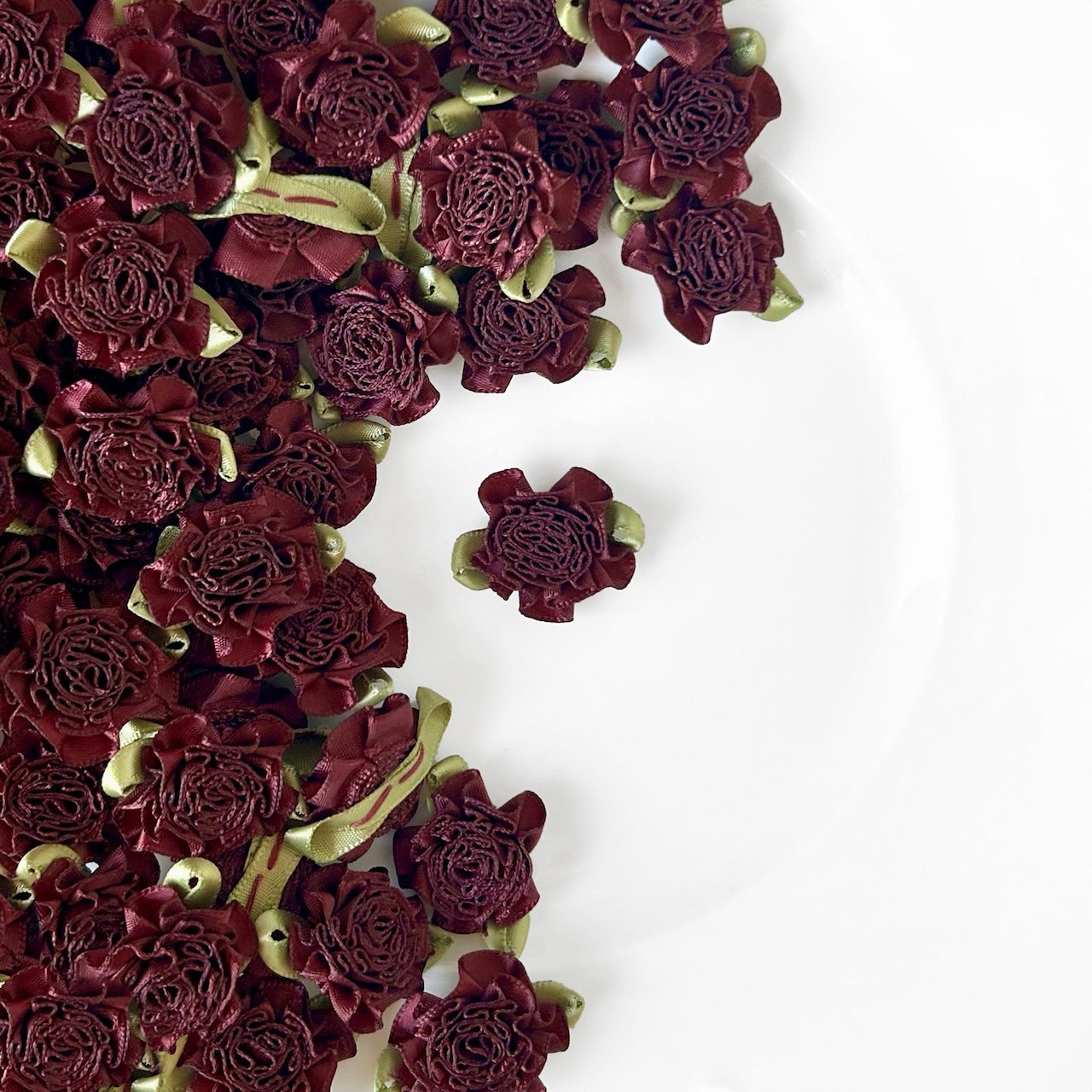 Large_Ribbon_Carnation