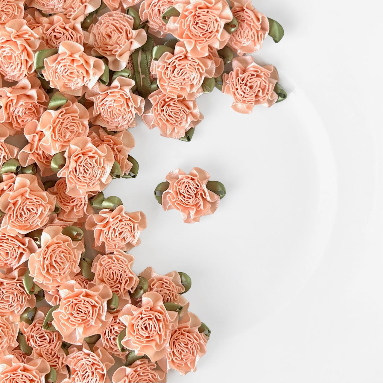 Large_Ribbon_Carnation
