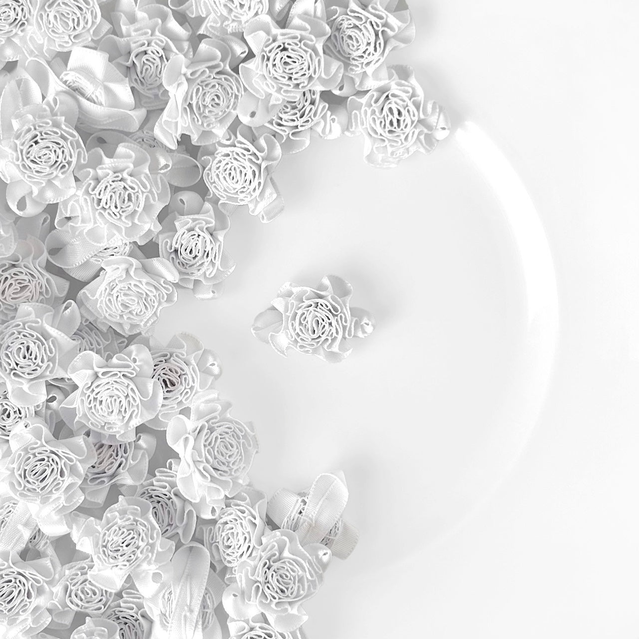 Large_Ribbon_Carnation
