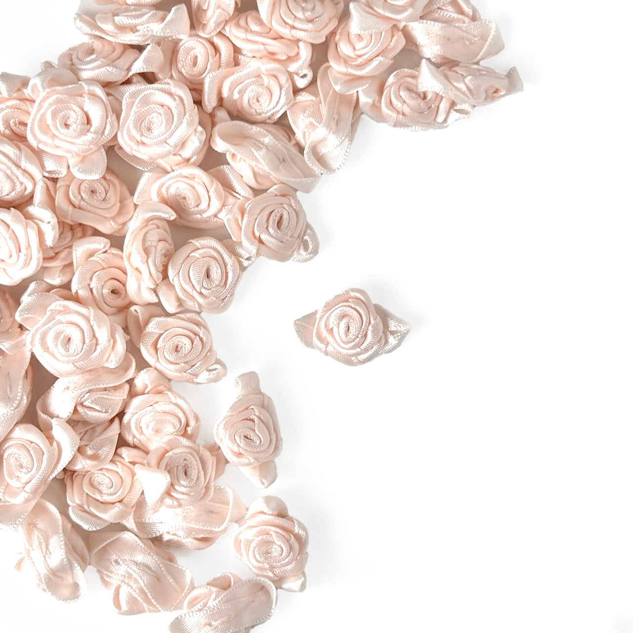 Powder_Pink_Ribbon_Rose