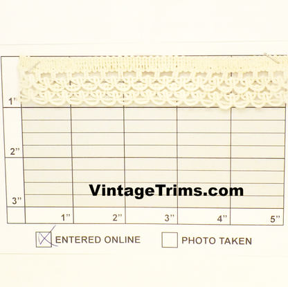 Lacy Braid 1" (Per Yard) 2 Colors