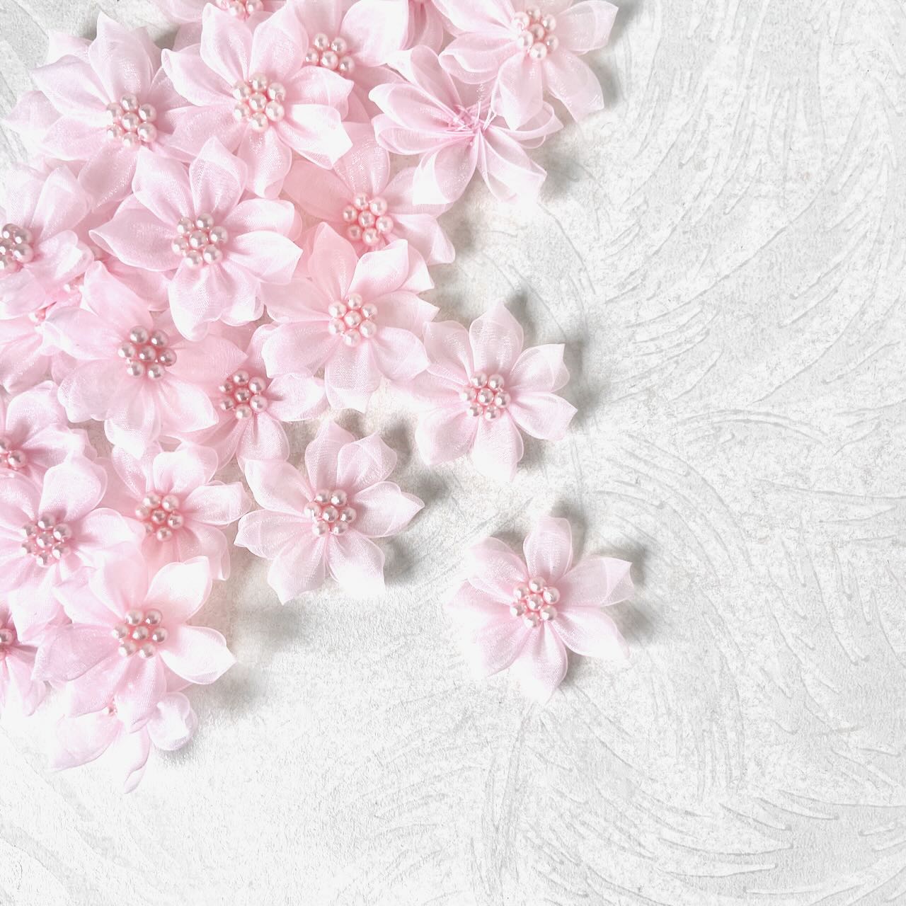    Pink_Sheer_Flower