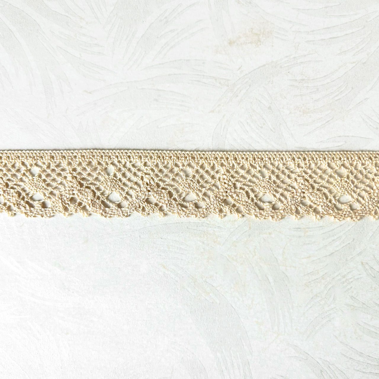    Scalloped_Cluny_Lace