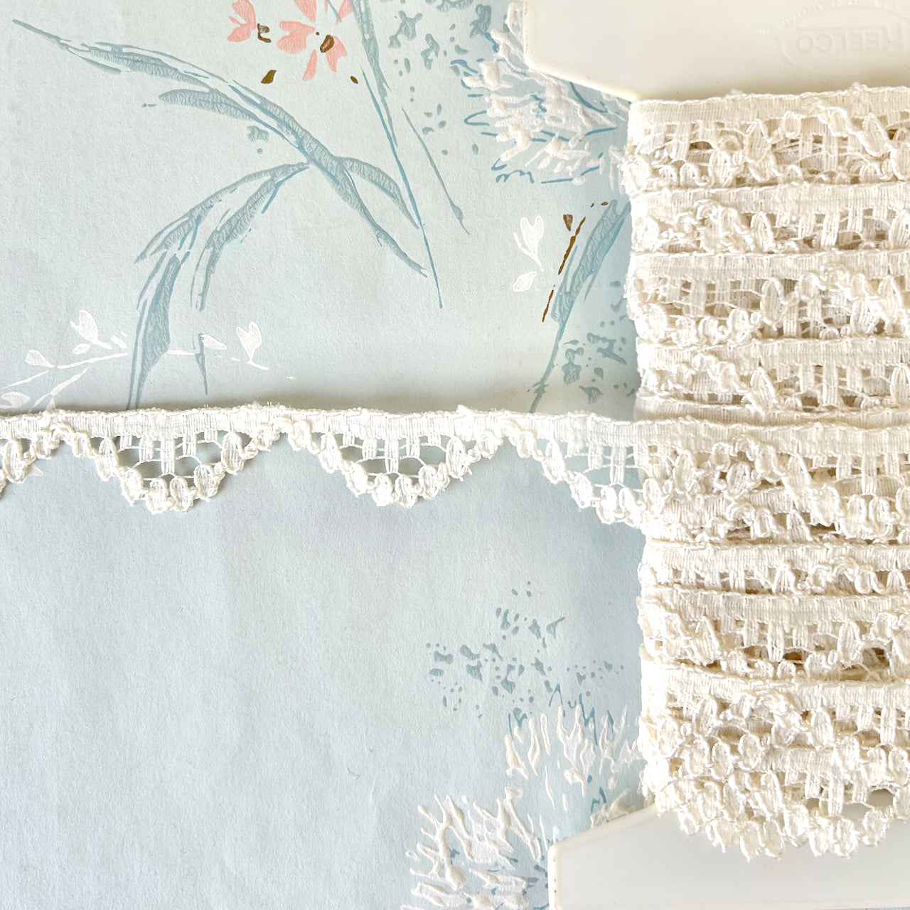    Scalloped_Venice_Lace