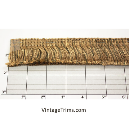 Brush Fringe 1-5/8" Alfonzo 3 Colorways